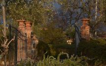 Foto pubblicata dell'ospite di Villa Nibbiano