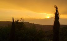 Foto pubblicata dell'ospite di La Casina del Bosco