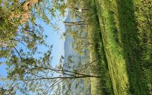 Foto pubblicata dell'ospite di Il Poggiarone 6