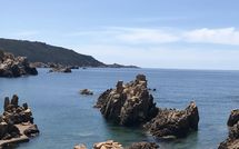 Foto pubblicata dell'ospite di Villa Borgo dei Fiori Ginepro