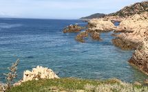 Foto pubblicata dell'ospite di Villa Borgo dei Fiori Ginepro