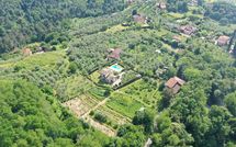 Foto pubblicata dell'ospite di Le Balze