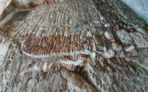 Foto pubblicata dell'ospite di I Corsari del Corallo - Cervo