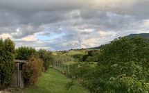 Foto pubblicata dell'ospite di Casale Giulio