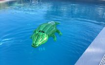 Foto pubblicata dell'ospite di Uva