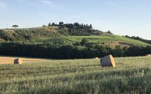 Foto pubblicata dell'ospite di Cerretalta