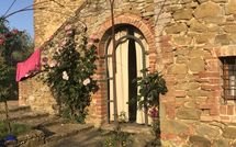 Foto pubblicata dell'ospite di Podere Orietta