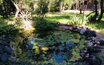 Foto pubblicata dell'ospite di Casa Cipressi