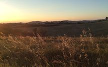 Foto pubblicata dell'ospite di Casa Cipressi