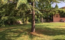 Foto pubblicata dell'ospite di Casa Cipressi