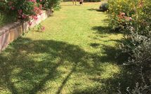 Foto pubblicata dell'ospite di Casa Cipressi