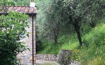 Foto pubblicata dell'ospite di Villa Mastiano