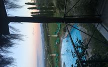 Foto pubblicata dell'ospite di Montescalari