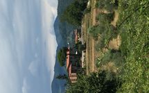 Foto pubblicata dell'ospite di La Castagnara