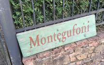 Foto pubblicata dell'ospite di Montegufoni