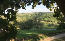 Foto pubblicata dell'ospite di Montegufoni