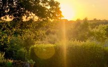 Foto pubblicata dell'ospite di Country House Il Galleto