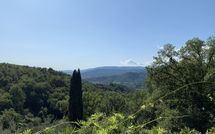 Foto pubblicata dell'ospite di Villa Grazia