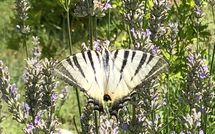 Foto pubblicata dell'ospite di Molino Santa Lucia