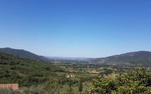 Foto pubblicata dell'ospite di La Montanina