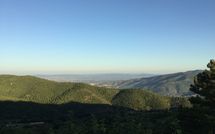 Foto pubblicata dell'ospite di Casetta i Ciliegi