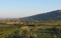 Foto pubblicata dell'ospite di Villa Chiara