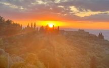 Foto pubblicata dell'ospite di Villa Santa Maria