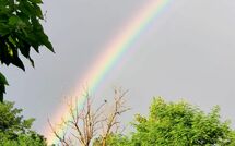 Foto pubblicata dell'ospite di Pagliazzone