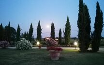 Foto pubblicata dell'ospite di Podere Marcigliano