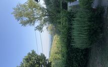 Foto pubblicata dell'ospite di Magrini