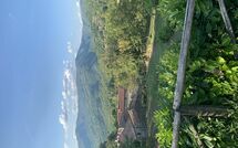 Foto pubblicata dell'ospite di Villa Il Roseto