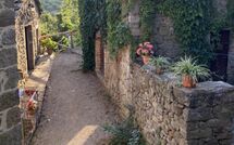 Foto pubblicata dell'ospite di Villa Il Roseto