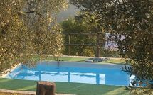 Foto pubblicata dell'ospite di La Casina del Bosco