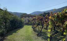 Foto pubblicata dell'ospite di Bettina!