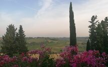 Foto pubblicata dell'ospite di Montegufoni