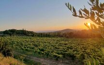 Foto pubblicata dell'ospite di Villa Giotto