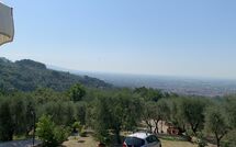 Foto pubblicata dell'ospite di Sughera Villa