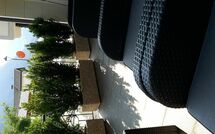 Foto pubblicata dell'ospite di Cuecenes