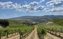 Foto pubblicata dell'ospite di Fattoria Pogni