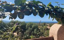 Foto pubblicata dell'ospite di Bouganville
