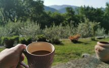 Foto pubblicata dell'ospite di Vignoli