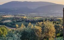 Foto pubblicata dell'ospite di Paradiso