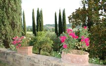 Foto pubblicata dell'ospite di Tenuta Il Tresto