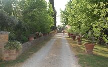 Foto pubblicata dell'ospite di Tenuta Il Tresto