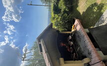 Foto pubblicata dell'ospite di Villa Sonia