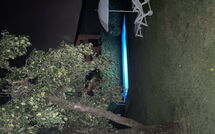 Foto pubblicata dell'ospite di La Capannella