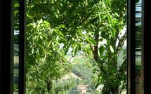 Foto pubblicata dell'ospite di Val di Gallo 4