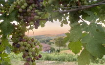 Foto pubblicata dell'ospite di Casa della Peschiera