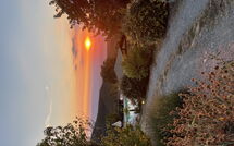 Foto pubblicata dell'ospite di Casetta i Ciliegi