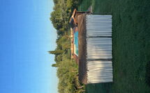 Foto pubblicata dell'ospite di Campolacconi